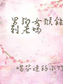 男狗女猴能白头到老吗