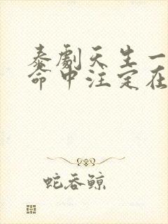 泰剧天生一对2命中注定在线播放