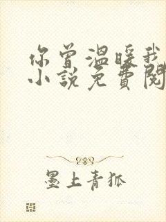 你曾温暖我时光小说免费阅读全文