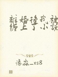 离婚后我被前夫缠上了小说