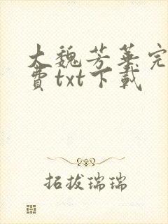 大魏芳华完整免费txt下载