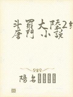 斗罗大陆2绝世唐门 小说