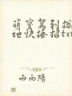 萌宝驾到总裁爹地快接招txt