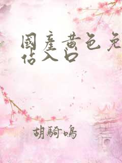 国产黄色免费网站入口