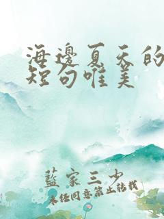 海边夏天的句子短句唯美
