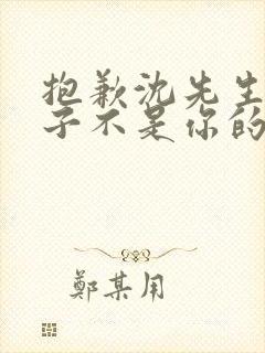 抱歉沈先生,孩子不是你的全集短剧
