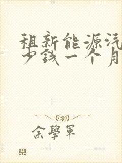 租新能源汽车多少钱一个月