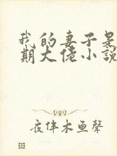 我的妻子是大乘期大佬小说无广告