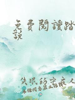 免费阅读踏星小说