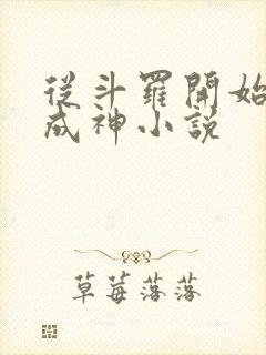 从斗罗开始逆天成神小说