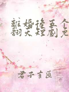 离婚后五个弟宠翻天短剧免费观看