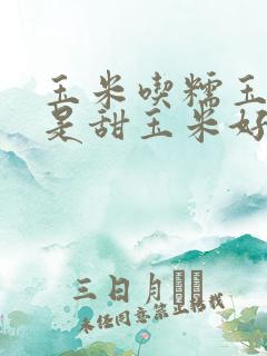 玉米吃糯玉米还是甜玉米好