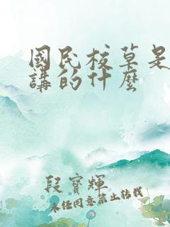 国民校草是女生讲的什么