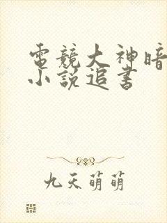 电竞大神暗恋我小说追书