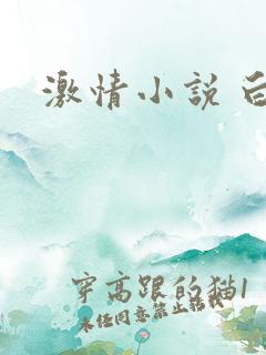 激情小说 白洁