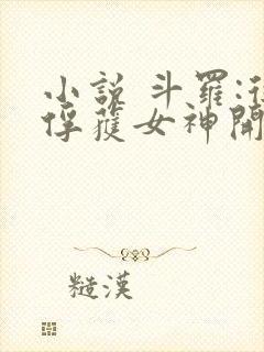 小说 斗罗:从俘获女神开始无敌