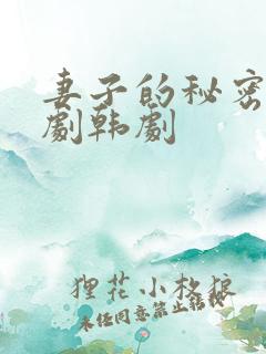 妻子的秘密电视剧韩剧