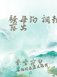 骚母狗 调教 露出
