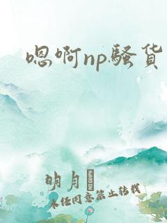 嗯啊np骚货