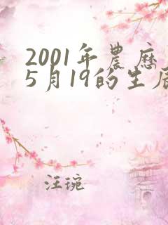 2001年农历5月19的生辰八字