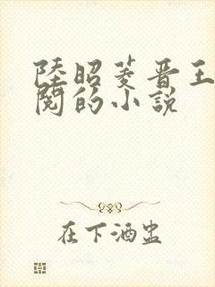 陆昭菱晋王周时阅的小说