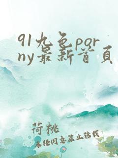 91九色porny最新首页