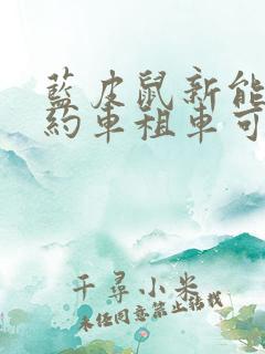 蓝皮鼠新能源网约车租车可靠吗