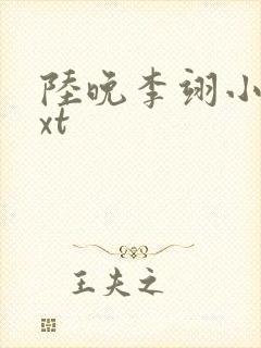 陆晚李翊小说txt