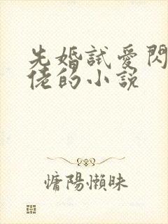 先婚试爱闪婚大佬的小说