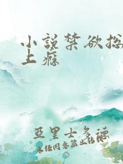 小说禁欲总裁宠上瘾