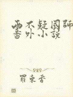 两不疑国师王爷番外小说