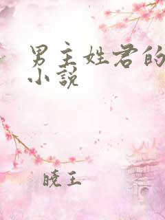 男主姓君的全部小说