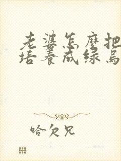 老婆怎么把老公培养成绿乌龟