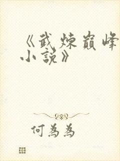 《武炼巅峰杨开小说》
