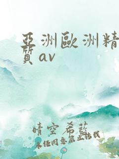 亚洲欧洲精品优质av