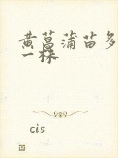 黄菖蒲苗多少钱一株
