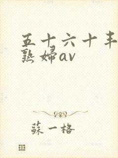 五十六十丰满老熟妇av