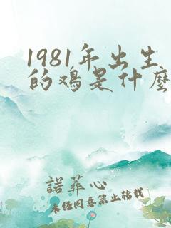 1981年出生的鸡是什么鸡