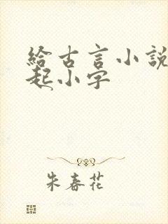 给古言小说女主起小字
