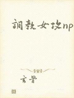 调教女攻np