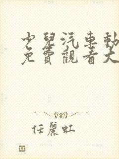 少儿汽车动画片免费观看大全