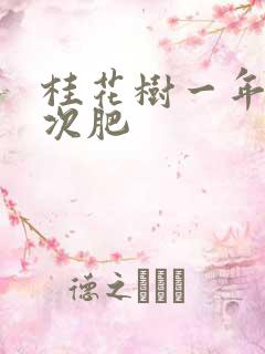 桂花树一年施几次肥