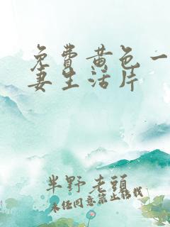 免费黄色一级夫妻生活片