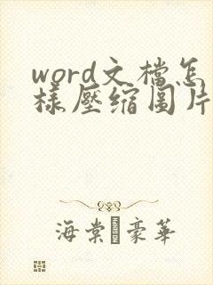 word文档怎样压缩图片大小