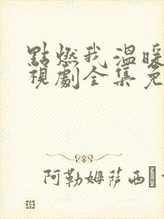 点燃我温暖你电视剧全集免费观看