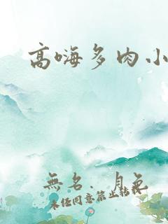 高嗨多肉小说