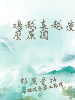 鸡越来越瘦是什么原因