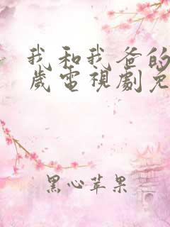 我和我爸的17岁电视剧免费播放全集