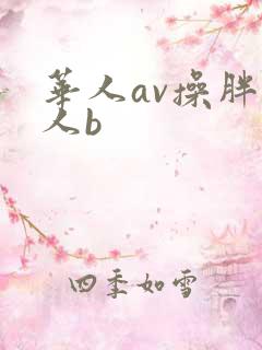 华人av操胖女人b