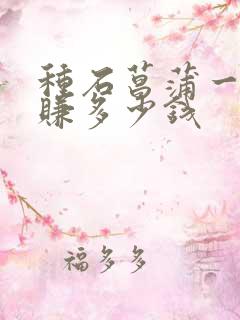 种石菖蒲一亩能赚多少钱